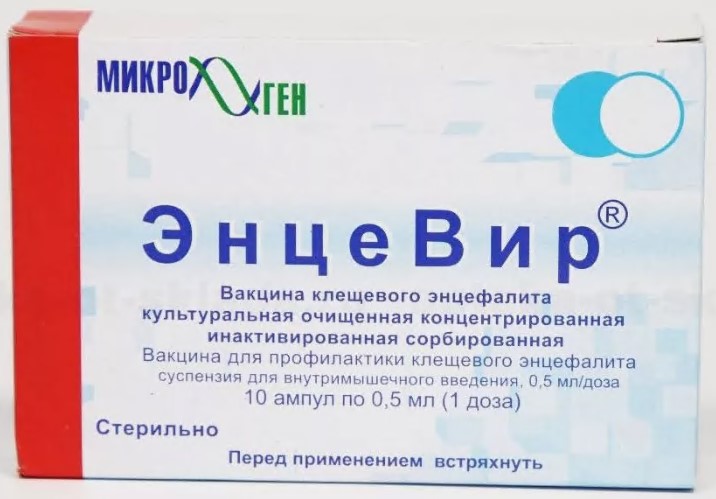 Энцевир